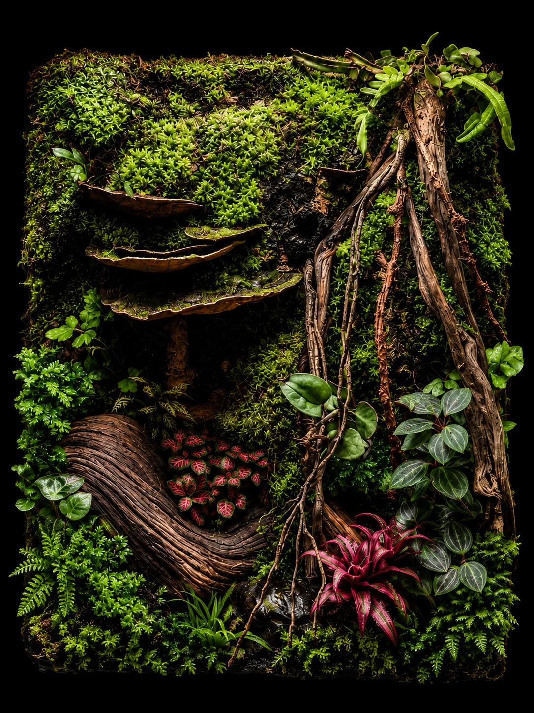 Terrarium